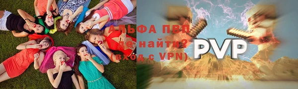 сатива Горнозаводск
