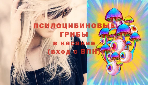 марки lsd Горно-Алтайск