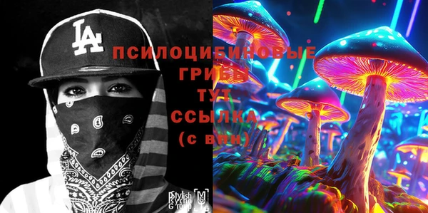 марки lsd Горно-Алтайск