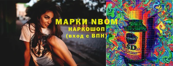 сатива Горнозаводск